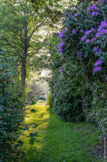 la-foret-chateau-martinvast__